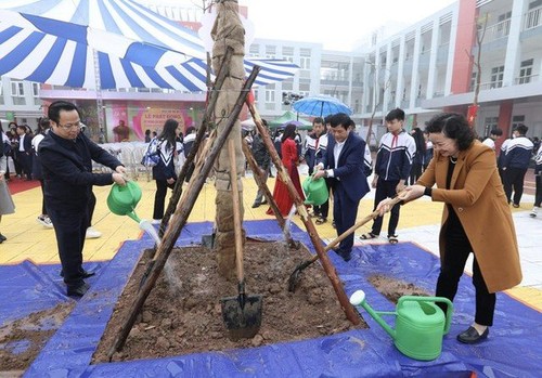 Hanoi wird 15.000 Bäume in den Schulen anbauen - ảnh 1