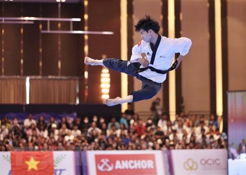 Fast 500 Sportler nehmen an Taekwondo-Meisterschaft teil - ảnh 1