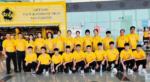 Nguyen Hoang Lam gewinnt Goldmedaille bei Tischtennis-Südostasienmeisterschaft für Junioren - ảnh 1