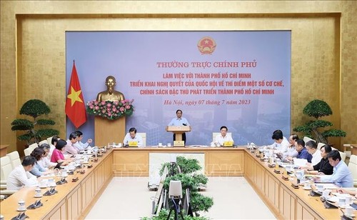Umsetzung der Sonderpolitik für Ho-Chi-Minh-Stadt - ảnh 1
