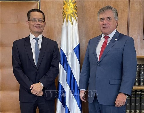 Vertiefung der umfassenden Zusammenarbeit zwischen Vietnam und Uruguay - ảnh 1
