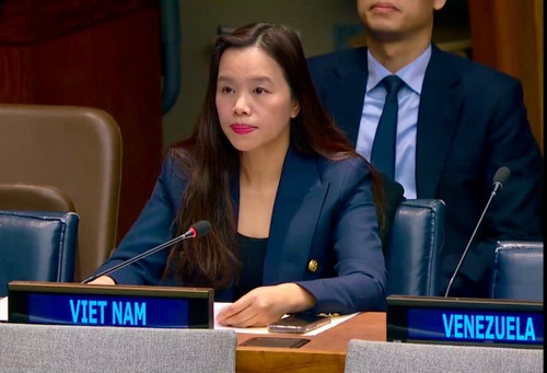 Vietnam wird weiterhin das Aktionsprogramm zum Kampf gegen den Waffenhandel fortführen - ảnh 1