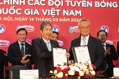 Offizielle Sponsoren für vietnamesische Fußballmannschaften 2024 - ảnh 1