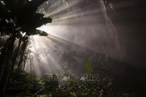 Son Doong ist eine der zehn schönsten Höhlen weltweit - ảnh 2