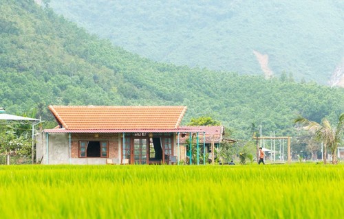 Jugendliche in Da Nang gründen Existenz mit Homestay - ảnh 2