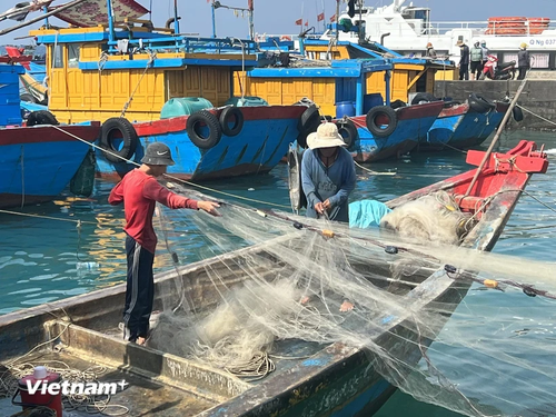 Vietnam bemüht sich um Aufhebung der Gelben Karte gegen IUU-Fischerei  - ảnh 1