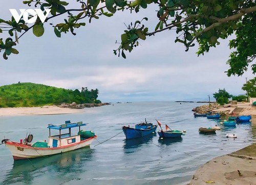 Entdeckung in Sa Huynh - dem Ort mit dem schönsten Strand in Quang Ngai - ảnh 13