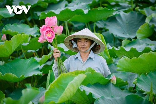 À la découverte du thé le plus cher du Vietnam - ảnh 4