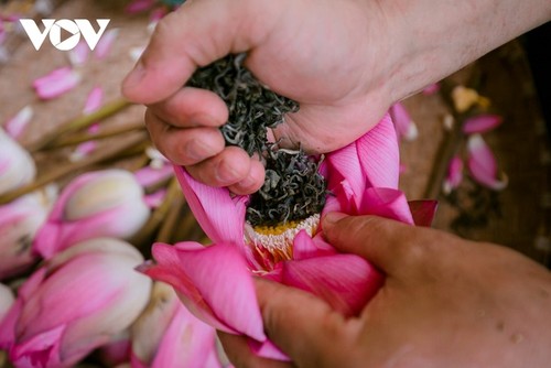 À la découverte du thé le plus cher du Vietnam - ảnh 8
