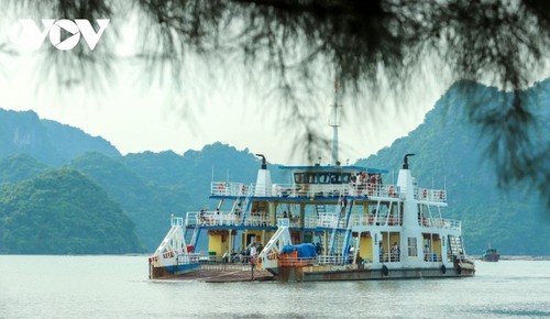 Baie d’Ha Long-archipel de Cat Cát Bà: premier site interprovincial vietnamien à être classé au patrimoine naturel mondial - ảnh 9