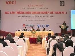 Báo cáo thường niên doanh nghiệp Việt Nam 2011 - ảnh 1