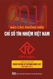 Báo cáo thường niên doanh nghiệp Việt Nam 2011 - ảnh 2