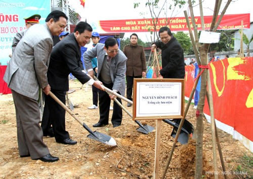Sôi nổi Tết trồng cây “Đời đời nhớ ơn Chủ tịch Hồ Chí Minh” năm 2014  - ảnh 1