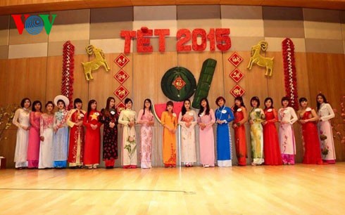 Chương trình Chào xuân mới 2015 của người Việt Nam tại Hàn Quốc - ảnh 1