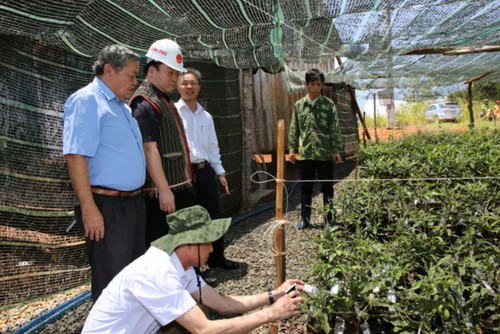 Phó Thủ tướng Hoàng Trung Hải chủ trì họp Ban chỉ đạo Nhà nước về kế hoạch bảo vệ và phát triển rừng - ảnh 1