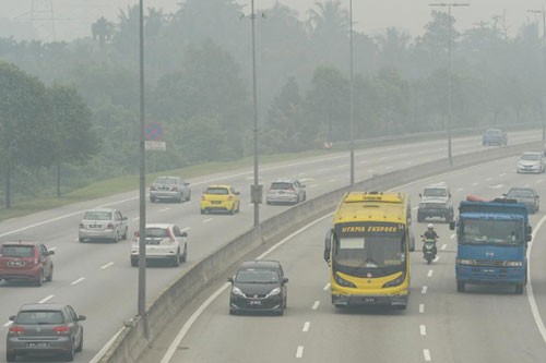 Các nước ASEAN hợp tác ngăn chặn tình trạng cháy rừng và khói mù - ảnh 1