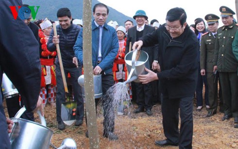 Chủ tịch nước Trương Tấn Sang phát động Tết trồng cây  - ảnh 1