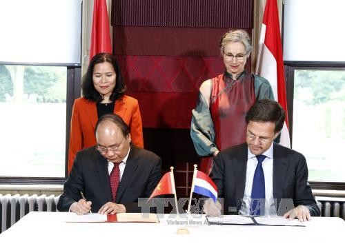 Вьетнам и Нидерланды сделали совместное заявление - ảnh 1