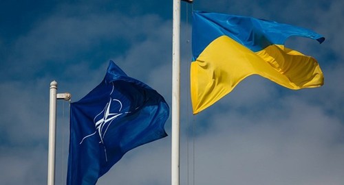 Порошенко: Украина и Грузия активизируют сотрудничество в ГУАМ - ảnh 1