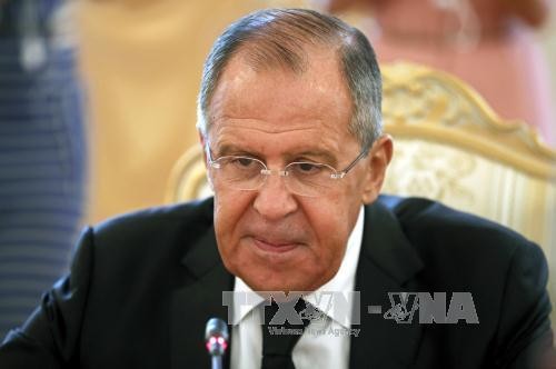 Россия и Египет договорились возобновить авиасообщение - ảnh 1