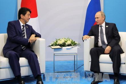 Япония и Россия будут тесно сотрудничать по вопросу КНДР - ảnh 1