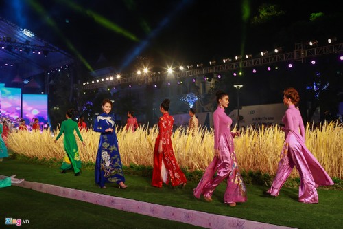Вьетнамские дизайнеры прилагают усилия для рекламирования национального костюма аозай - ảnh 1