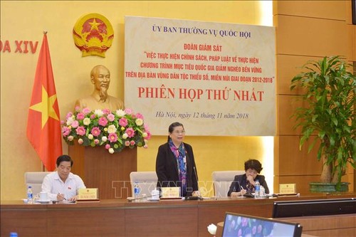Тонг Тхи Фонг: необходим строгий контроль за выполнением политики сокращения бедности в горных районах - ảnh 1