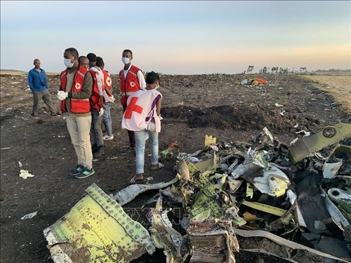 Эксперты обнаружили сходство между катастрофами Boeing 737 MAX в Эфиопии и Индонезии  - ảnh 1