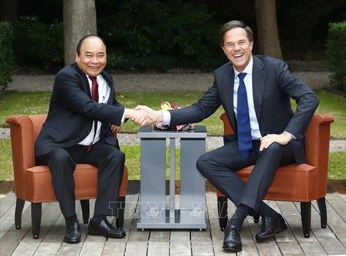 Премьер-мнистр Нидерландов начал официальный визит во Вьетнам - ảnh 1