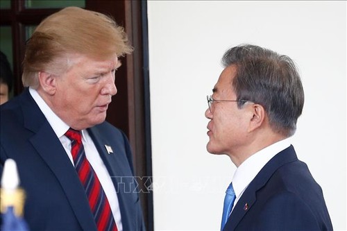 Трамп и Мун Чжэ Ин подтвердили важность сохранения диалога с КНДР - ảnh 1