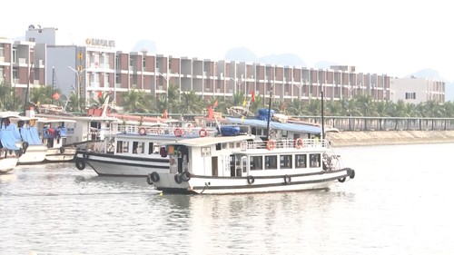 Модель «круизное судно для индивидуальных туристов» в заливе Халонг - ảnh 1