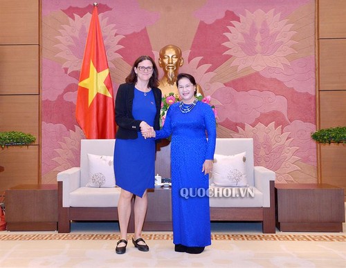 Нгуен Тхи Ким Нган приняла комиссара ЕС по торговле Сесилию Мальмстрём    - ảnh 1