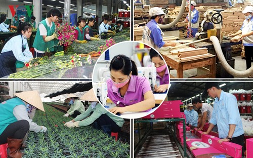 Международное сообщество дало положительные оценки экономическим перспективам Вьетнама - ảnh 1