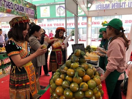 В Ханое пройдёт Неделя апельсинов «шань» и продуктов хазянгского производства - ảnh 1