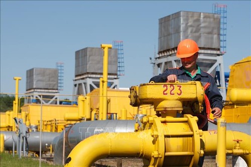 Россия и Украина подписали контракт на транзит газа - ảnh 1