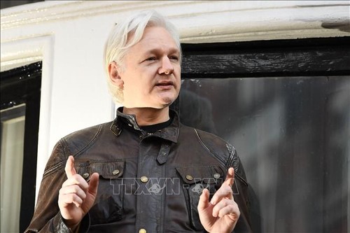 Основатель WikiLeaks Джулиан Ассанж появился на слушании по делу об экстрадиции в США - ảnh 1