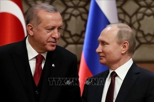 Путин и Эрдоган договорились улучшить координацию действий в Сирии - ảnh 1