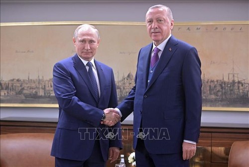 Песков: РФ придает большое значение взаимодействию с Турцией в борьбе с террором в Сирии - ảnh 1