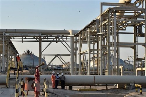 Россия и Саудовская Аравия привержены стабилизации мирового рынка нефти - ảnh 1