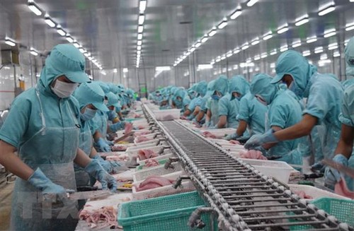 Вьетнам: Стимулирование внутреннего спроса на пангасиус «ча» отечественного производства - ảnh 1