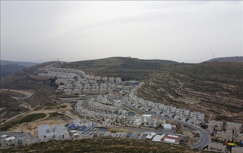  ЛАГ осудила план Израиля по аннексии западного берега реки Иордана - ảnh 1