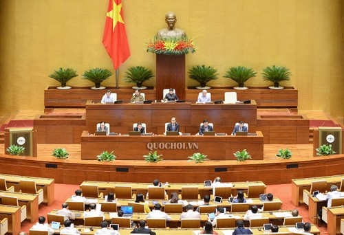 Национальное собрание Вьетнама продолжает рассматривать важные вопросы - ảnh 1