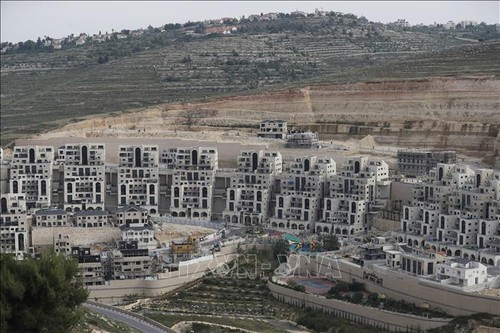 Палестина выступает против плана Израиля аннексировать земли на  Западном берегу реки Иордана - ảnh 1