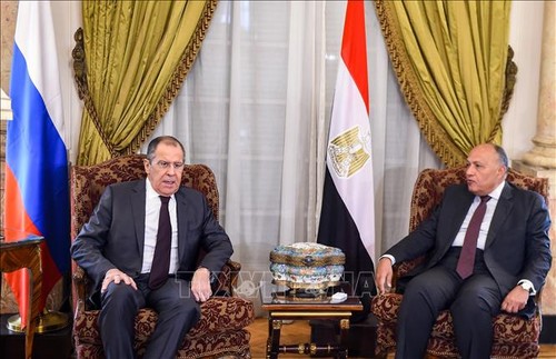 Главы МИД РФ и Египта обсудили ситуацию на Ближнем Востоке и в Северной Африке - ảnh 1