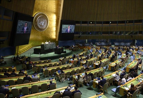Председатель 75-й сессии ГА ООН обсудил с главой МИД РФ направления действий - ảnh 1