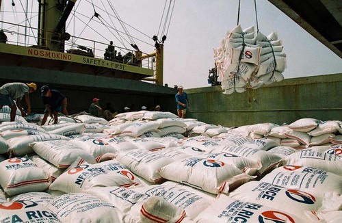 Впервые вьетнамский рис экспортирован в Австралию - ảnh 1