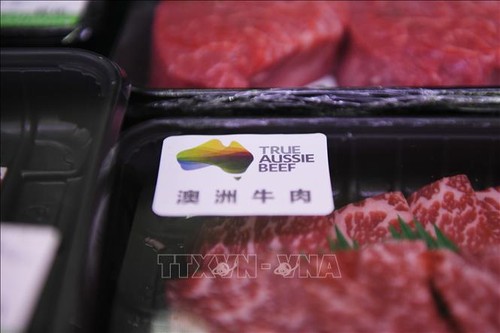 Китай ввел запрет на импорт говядины из Австралии - ảnh 1