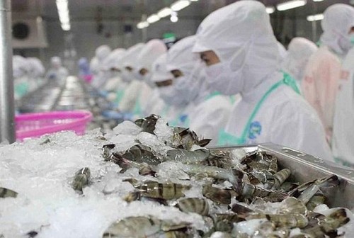 12 вьетнамских предприятий получили разрешение возобновить экспорт морепродуктов в Саудовскую Аравию - ảnh 1