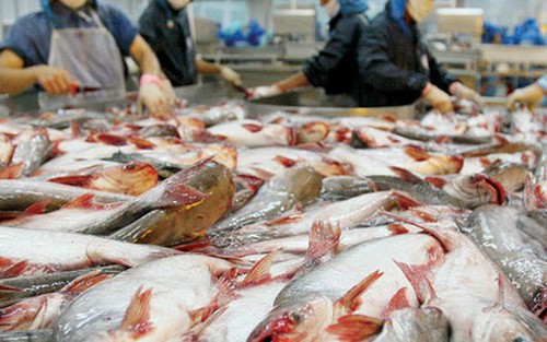 К 2030 году экспорт вьетнамских морепродуктов составит 20 млрд. долларов - ảnh 1
