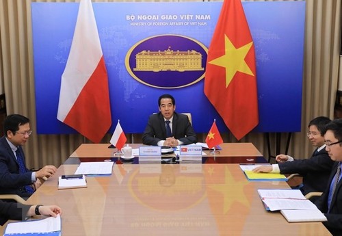 Вьетнам и Польша провели политическое консультативное совещание - ảnh 1